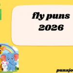 fly puns