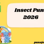 Insect Puns