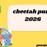 cheetah puns