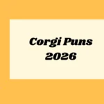Corgi Puns