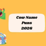 Cow Name Puns